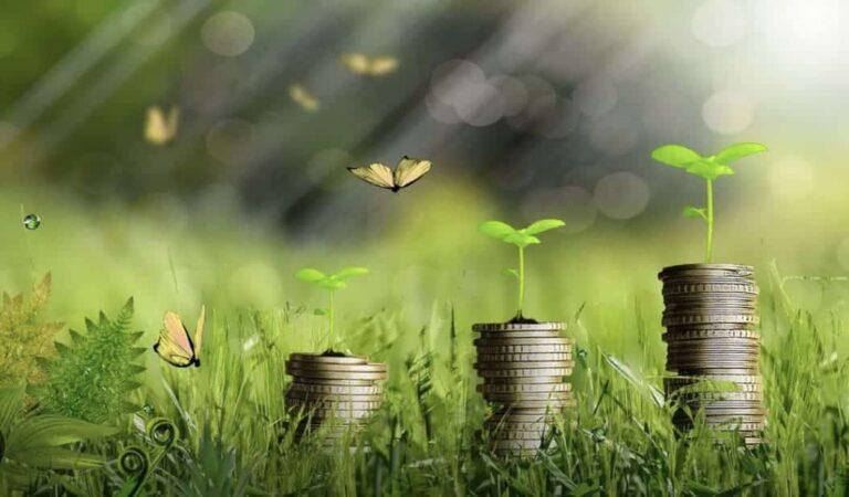 Die Auswirkungen des European Green Deal auf persönliche Finanzen und Investitionen in Deutschland