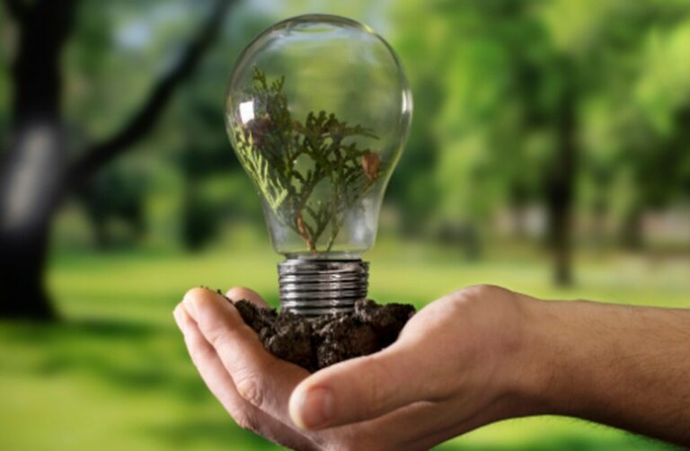 Wie der Markt für erneuerbare Energien Investoren in Deutschland anzieht