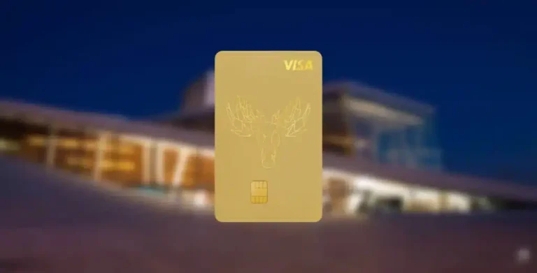 Bank Norwegian Visa Card: Ihre Kreditkarte für finanzielle Flexibilität