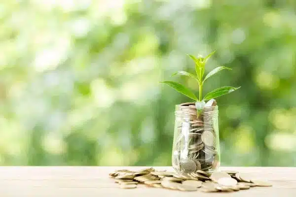 Wie deutsche Startups die grüne Finanzierungsrevolution anführen!