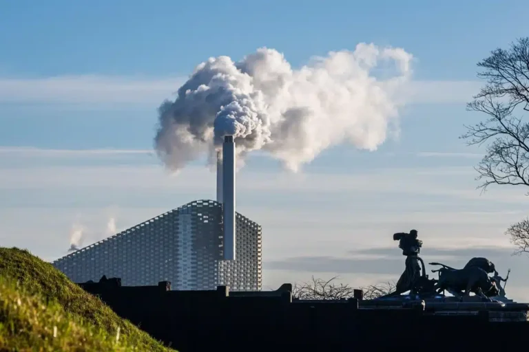 Die Auswirkungen der CO₂-Abgaben auf das Konsumverhalten der Deutschen!