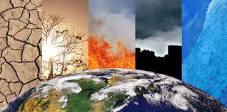 Wie der Klimawandel die Anlagestrategien in Deutschland beeinflusst?