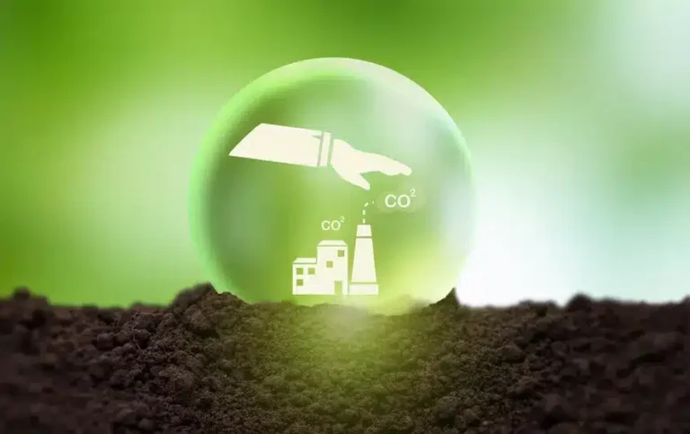 Die Auswirkungen der CO₂-Politik auf die Haushaltswirtschaft der Deutschen