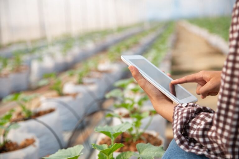 Agtech and Foodtech: Why Agriculture and Food Startups are Attracting Capital in Australia