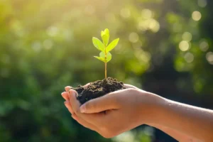 Sustainable and eco-friendly credit cards