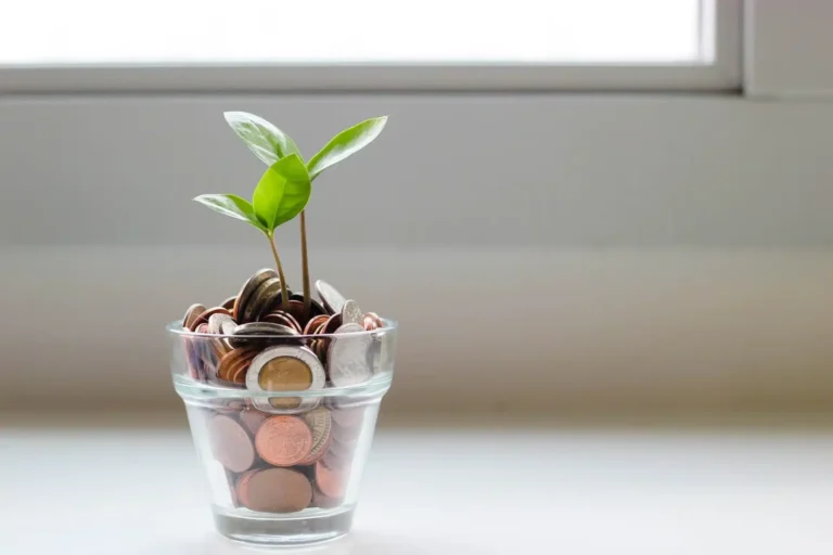 Dicas para uma vida financeira mais sustentável!
