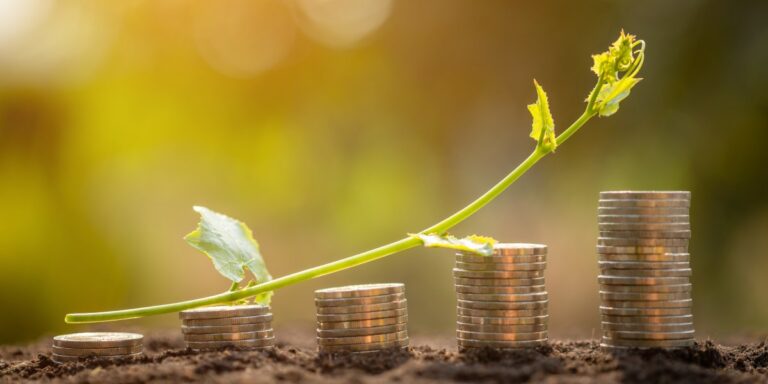 Investimentos sustentáveis: Como investir de forma consciente!