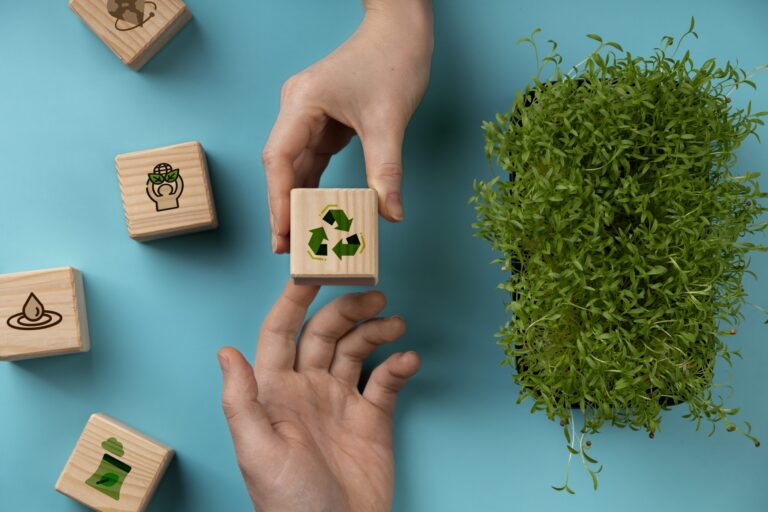 Como aproveitar as oportunidades de investimentos sustentáveis no Brasil: O crescimento do ESG