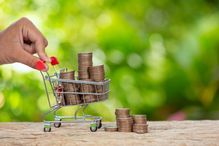 Impactos da inflação no poder de compra: Como proteger seu orçamento no Brasil?