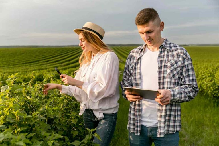 Investimentos em agro: Como o setor do agronegócio está atraindo pequenos investidores?