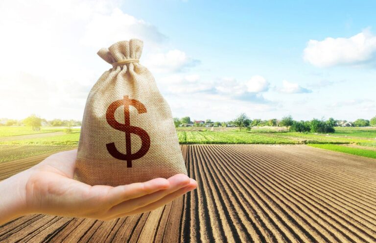 Crédito rural no Brasil: Como pequenos produtores podem financiar suas operações?