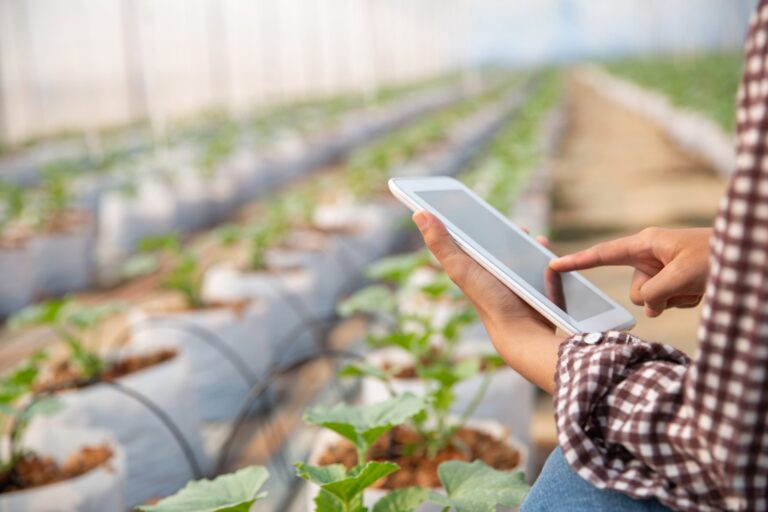 Como investir no agronegócio brasileiro em 2025?