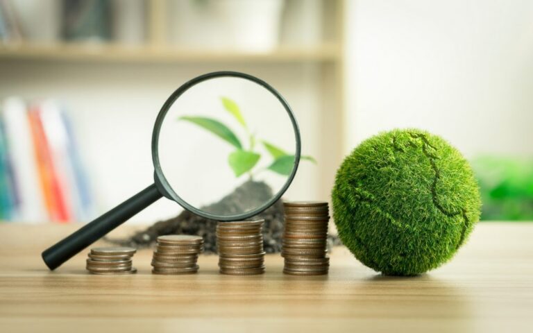 A relação entre sustentabilidade e finanças no Brasil: Investindo em negócios ecológicos