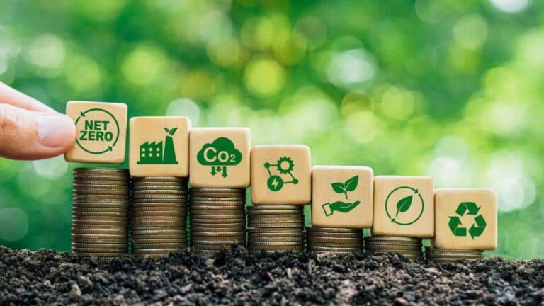 In nachhaltige Startups in Deutschland investieren: Was Sie beachten sollten